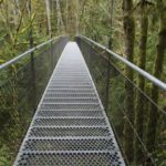 A view of the IslandWood Suspension Bridge.