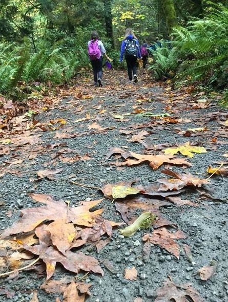 School Overnight Program students walk on a tree-lined path at IslandWood.