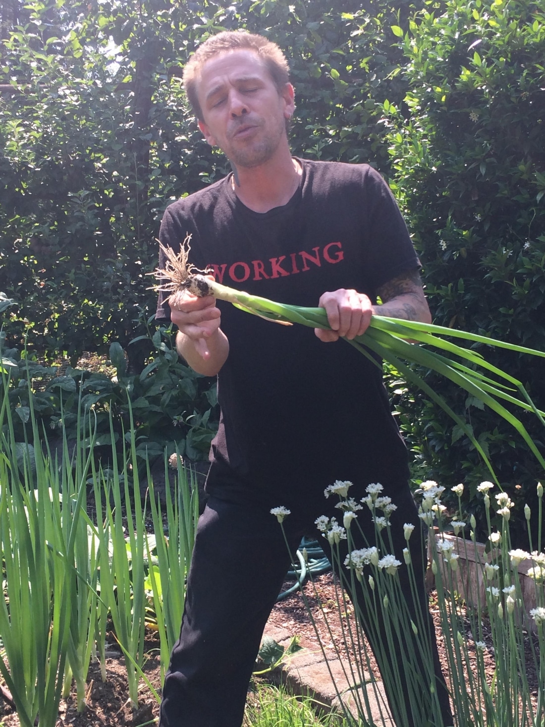 Matt Schmidt, IslandWood’s Banquet Sous Chef, holding green onions in the garden.