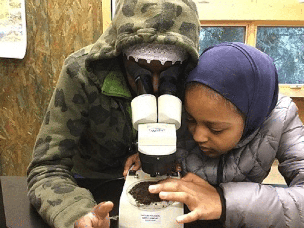 Two School Overnight Program students share a microscope.