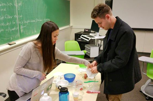 Natalie working with a fellow Occidental College student to extract strawberry DNA during Biology Club.