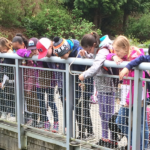 A group of Community Waters students take stormwater samples at Thornton Creek Water Quality Channel.