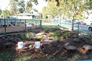 The rain garden at Martin Luther King Jr. Elementary. Image courtesy of Seattle Public Utilities.