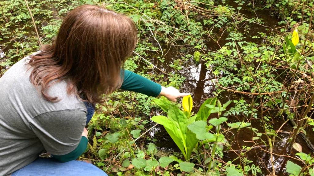 [Image description: Community Education Manager Mary Meier examines a skunk cabbage plant in her local park.]