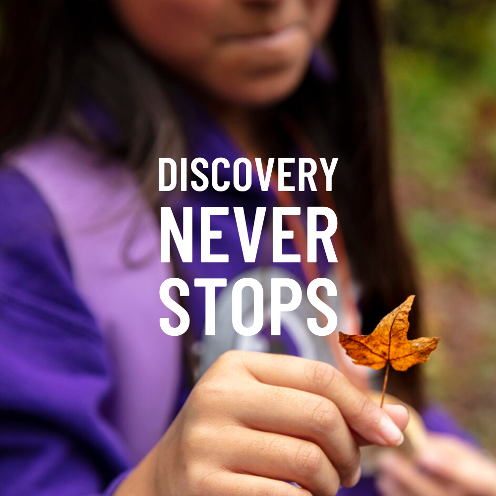 [Image description: a child wearing a purple hoodie holds up a small leaf in the forest. The words "Discovery Never Stops" are overlaid on the image.]
