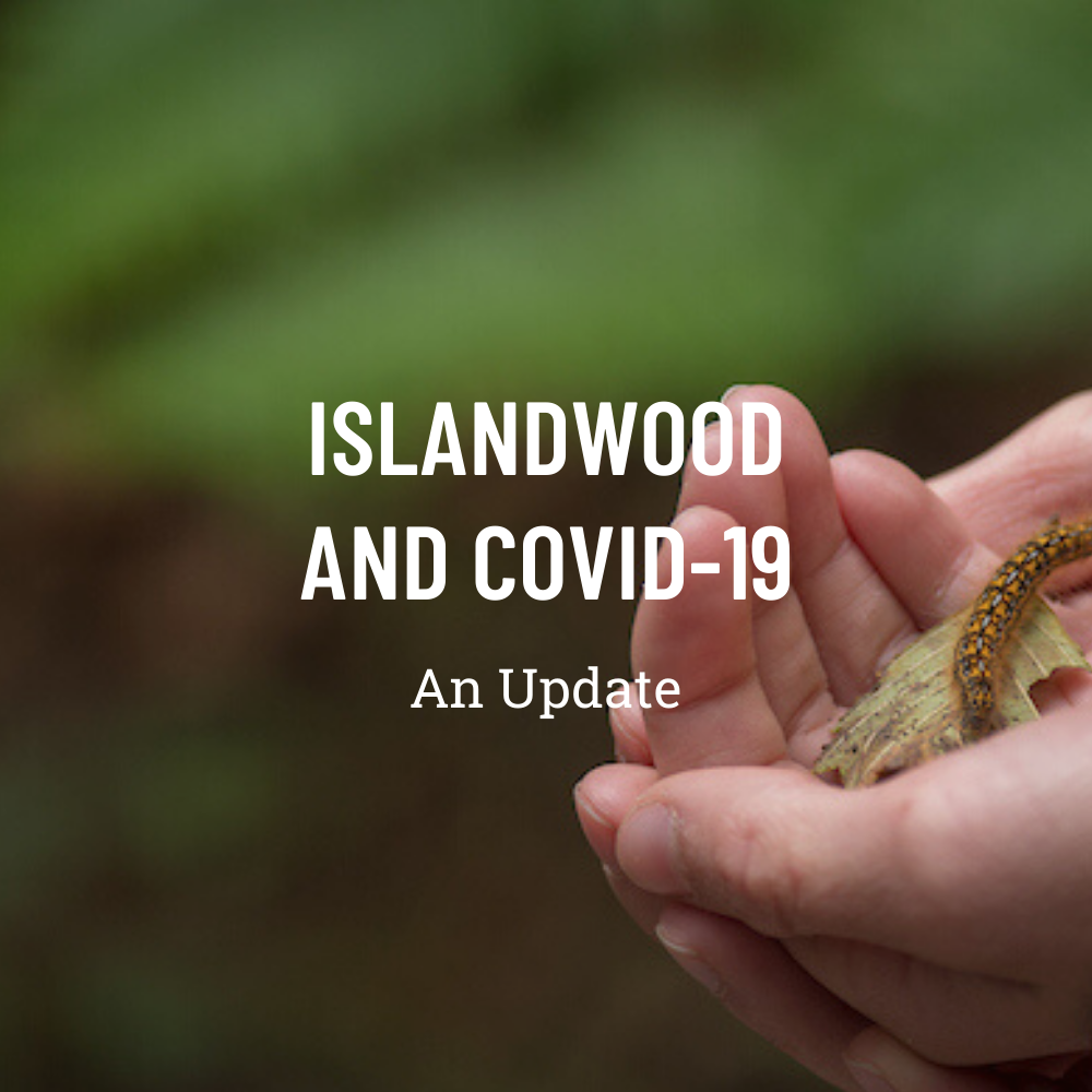 To help keep our community and staff safe during the COVID-19 outbreak, IslandWood has made the decision to close all of our education programs, community events, private events, and conferences through the end of April. We will be continuing to run our graduate program via remote classes.