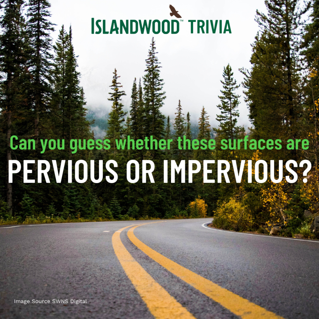 Ready to play a game of “Pervious or Impervious”? Here’s how: brush up on your knowledge of pervious and impervious surfaces below, and then watch the video to see how many you can guess correctly!