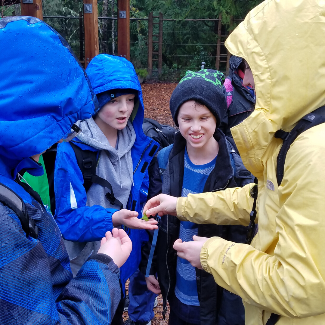 [Image description: IslandWood graduate student and School Overnight Program instructor Taylor O'Connor places a leaf into the hand of a student from the Washington State School for the Blind. Two other students stand next to them.]