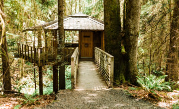 Learning Treehouse