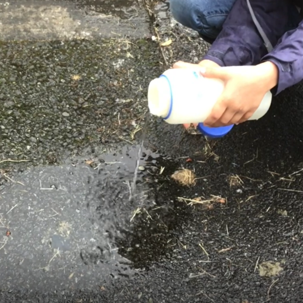 Watch this video to learn what happens to the rain that lands at Brightwater.