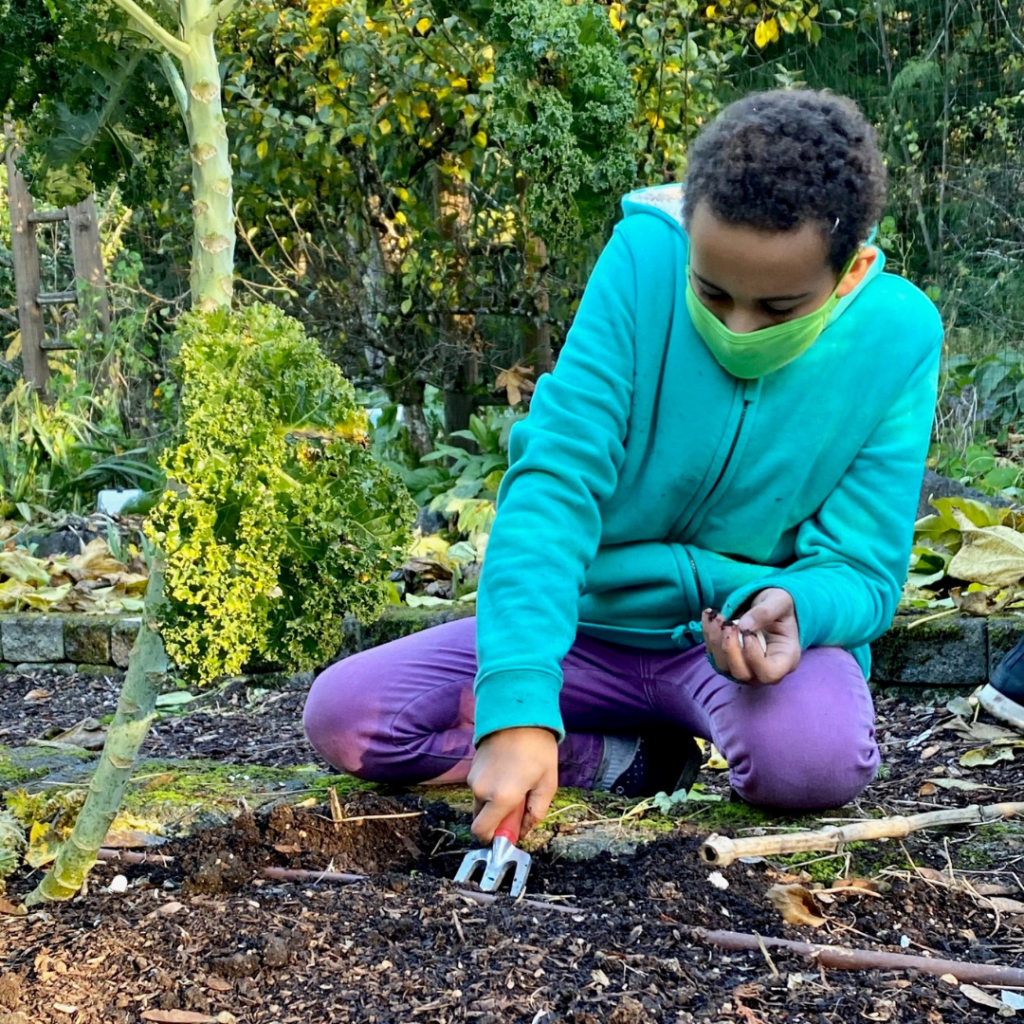 IslandWood adapts existing programs and created new ones to meet the needs of our community during COVID-19. A few of the new programs we launched included Afternoon Ecologists, When It Rains, It Pours, What's for Dinner Wednesday, and more.