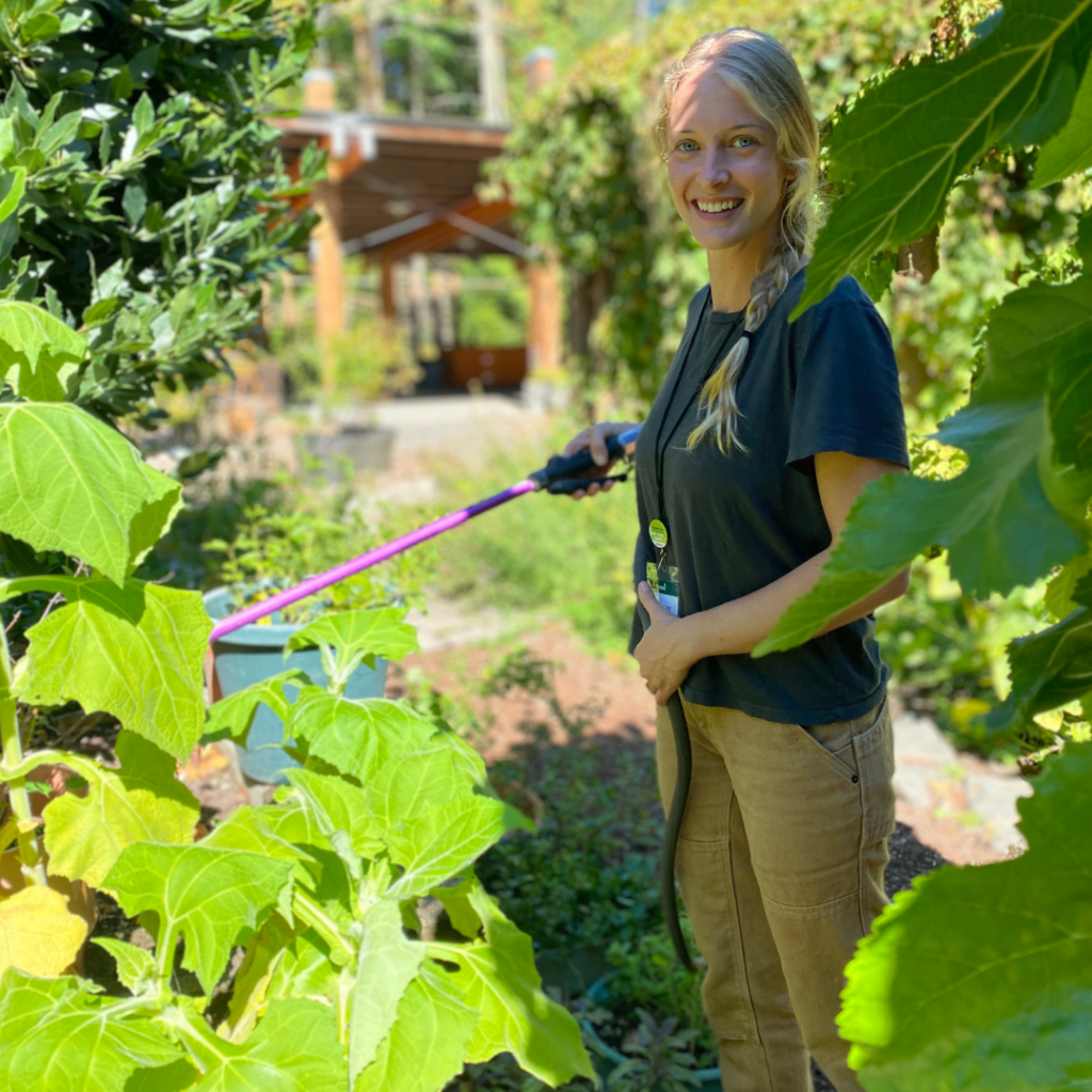 This summer we welcomed Megan Gordinier as our new Garden Manager. Learn more about her, and her work in IslandWood’s Garden Classroom, here.