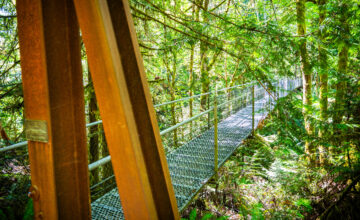 Suspension Bridge