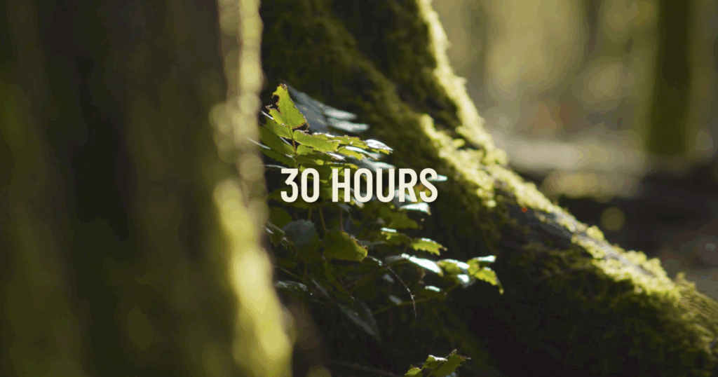During the School Overnight Program, students experience 30 hours of learning & discovery.